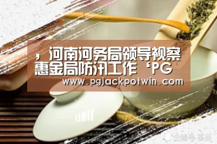 ,河南河务局领导视察惠金局防汛工作‘PG首页’(图2) PG娱乐