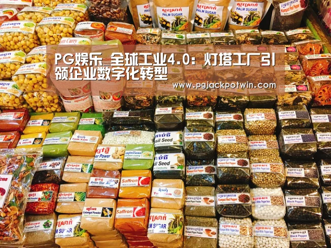 PG娱乐
