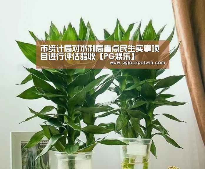 市统计局对水利局重点民生实事项目进行评估验收【PG娱乐】(图2) PG赛事