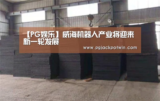 【PG娱乐】威海机器人产业将迎来新一轮发展(图3) PG娱乐