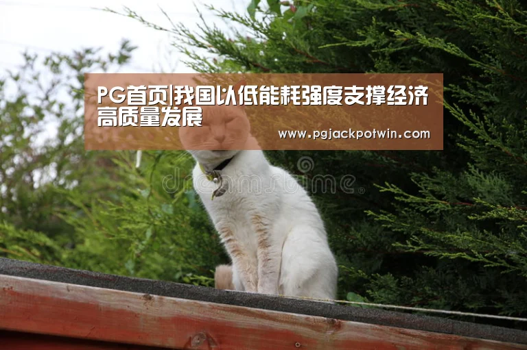 PG速达