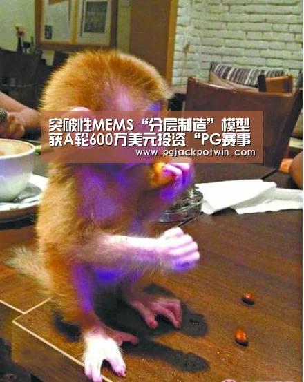 PG速达