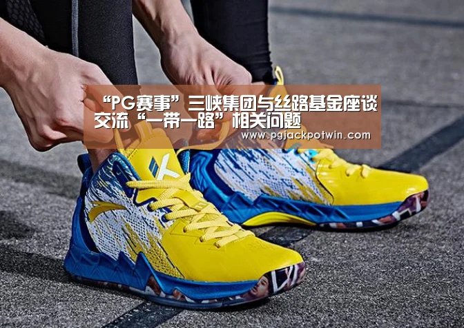 “PG赛事”三峡集团与丝路基金座谈交流“一带一路”相关问题(图3) PG娱乐