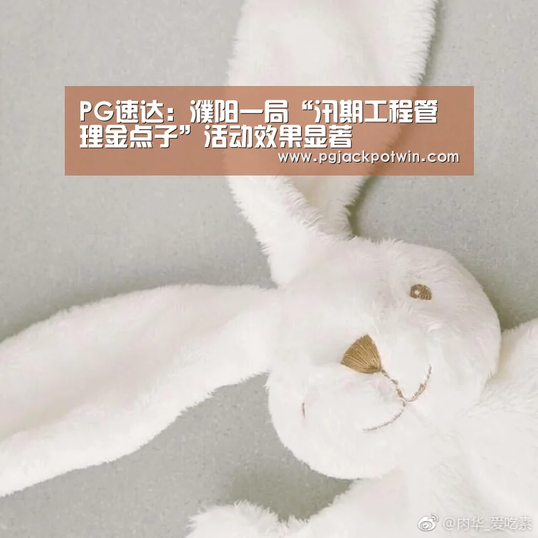 PG速达:濮阳一局“汛期工程管理金点子”活动效果显著(图2) PG娱乐